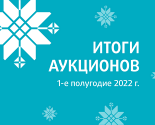 Statistics of the national domain zone for the 1st half of 2022