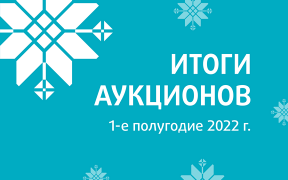 Statistics of the national domain zone for the 1st half of 2022
